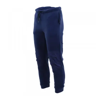 Штаны флисовые Brodeks KS 307, синий